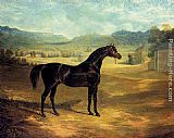 The Bay Stallion Jack Spigot by John Frederick Herring Snr